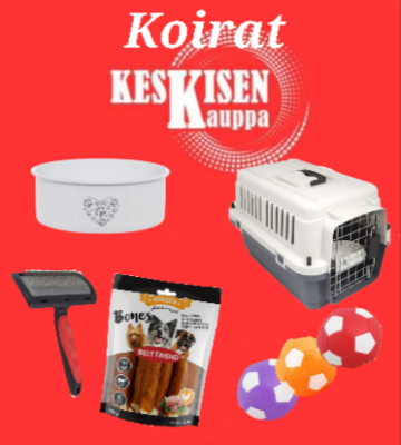 Koirat