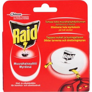 RAID MUURAHAISRASIA