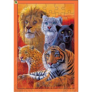 3D LIVELIFE TRAY JIGSAW PUZZLES - BIG CA