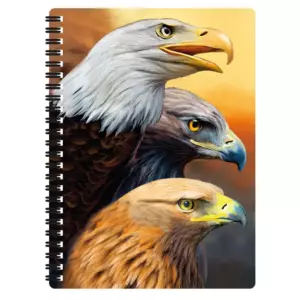 3D LIVELIFE MUISTIVIHKO KOTKAT