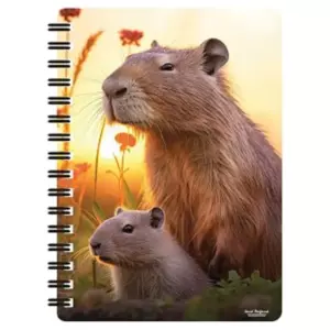 3D LIVELIFE JOTTERS CUTE CAPYBARAS
