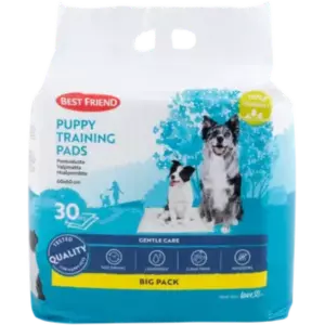 BEST FRIEND PENTUALUSTA BIGPACK 30KPL 60X60CM