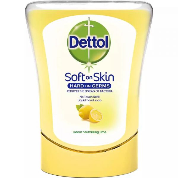 DETTOL HAJUNPOISTAJA FRESH CITRUS 250ML