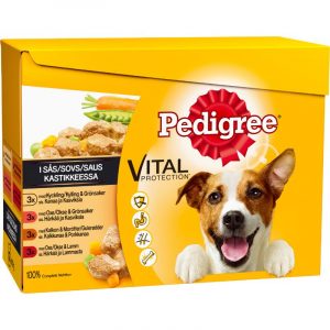 PEDIGREE 12X100G KASTIKELAJITELMA