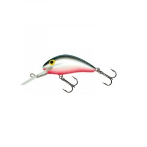 SALMO HORNET 4F GS