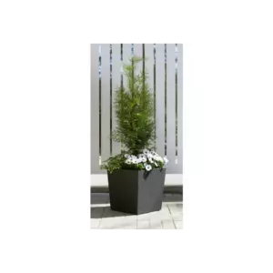 4LIVING TERMORUUKKU CUBIC MUSTA 39X39X39CM