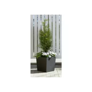 TERMORUUKKU CUBIC MUSTA 48CM