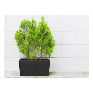 4LIVING TERMORUUKKU PATIO 76CM