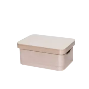 4LIVING PUULAATIKKO KANNELLA 25X17X11 CM