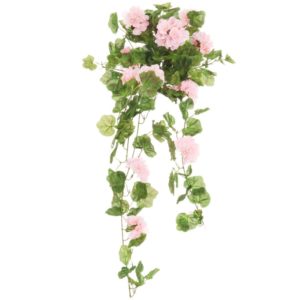 4LIVING PELARGONIA 80CM V.PUN