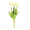 4LIVING TULPPAANI KIMPPU VALKOINEN