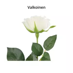 4LIVING RUUSU KORISTEKUKKA 47CM