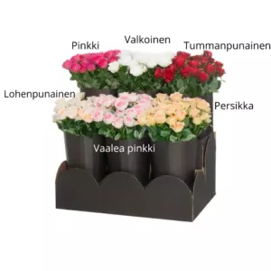 4LIVING RUUSU 47 CM