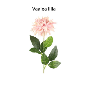 4LIVING DAALIA KORISTEKUKKA 58CM