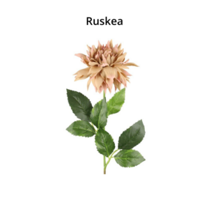 4LIVING DAALIA KORISTEKUKKA 58CM
