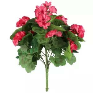 4LIVING BELARGONIA KIMPPU TUMMA PINKKI