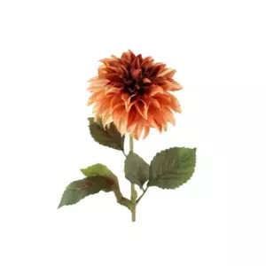 4LIVING DAALIA ISOKUKKAINEN 74CM RUOSTEEN RUSKEA