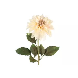 4LIVING DAALIA ISOKUKKAINEN 74CM KERMA/VAALEA