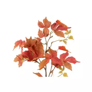 4LIVING VAAHTERA OKSA ORANSSI 74 CM