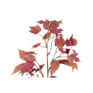 4LIVING VAAHTERA OKSA MALVA 74 CM