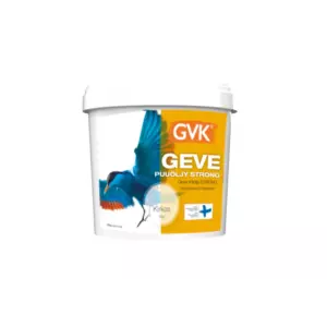 GEVE PUUÖLJY KIRKAS 2,7L PUU
