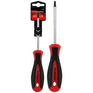 PROMASTER RUUVIMEISSELI T25 6X100MM