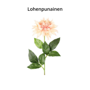 4LIVING DAALIA KORISTEKUKKA 58CM