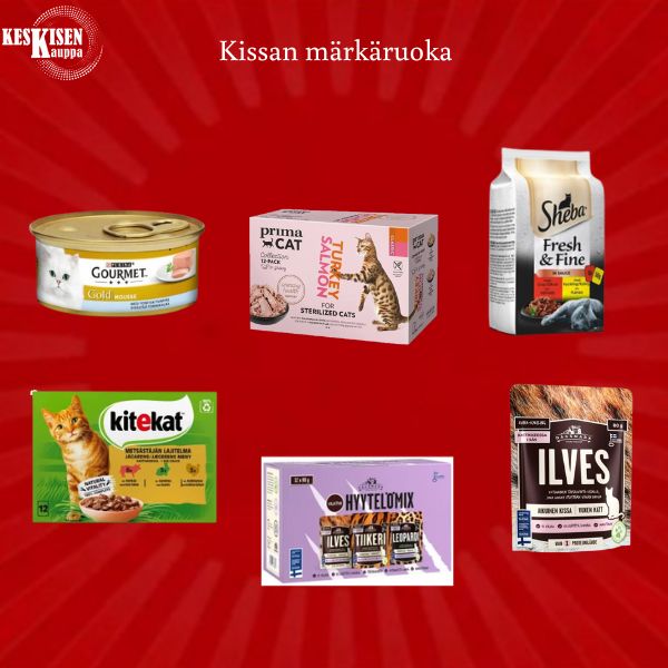 Kissan märkäruoka